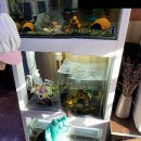 돼랑이곱창삼겹살 | 군산에서 곱창 젤 맛있는 곳 삼학동 돼랑이곱창삼겹살