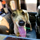 GS25 곰달래로 이미지