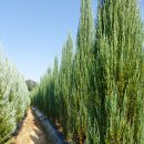 다경농장 이미지