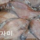 화진호 이미지
