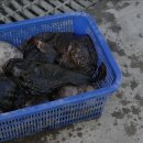 충청도횟집 이미지