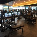 YJ FITNESS 이미지