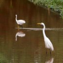 새들의천국 이미지