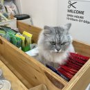 CH동물병원 이미지