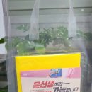 인천부마초등학교 이미지