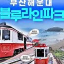 블루파크 이미지