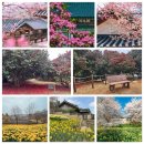 서산 팔봉산 목장 | 충남이 빚은 싱그러운 봄으로의 초대