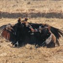김해화포천습지 생태학습관 이미지