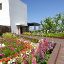 서구청 옥상생태공원 이미지