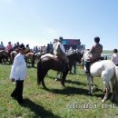 몽골 여행 5. 몽골 축제 이미지