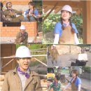 배꼽하우스 이미지