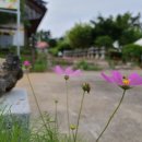 성모암 이미지