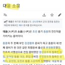 대윤 소윤 이미지