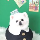 다미살롱 이미지