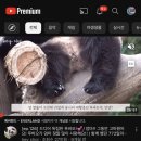 (주)투어리스트 이미지