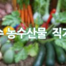 아리몰 이미지
