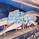 ㈜산성자원환경 | 공룡 좋아하는 아이들, 강화도 자연사박물관 후기
