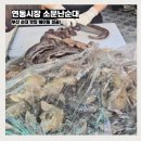 최고집호떡 | 부산 시장 투어 순대 맛집 연산동 연동시장 소문난순대 웨이팅 성공