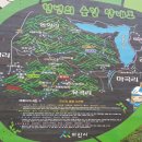 일요일 근교산행(7차) 봉곡사 솔바람길 이미지