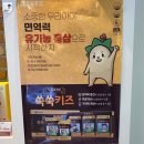 초월홍삼구미