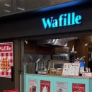 와필레(WAFILLE)