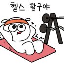 머슬 마인드 PT & 헬스 영등포구청점 이미지