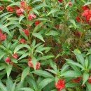 매밑농장 이미지