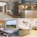 본 동물메디컬센터 외과동물병원 이미지