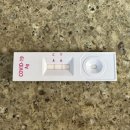 성윤재 | 때늦은 1월의 일기