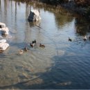 연지카센타 이미지