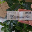 티스바이오 이미지