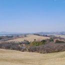 산수목장 이미지