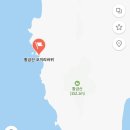 황금산 코끼리바위 | 그냥 해안가에 있는 바위 아니었냐고ㅠ?!구두 신고 등산해버린 후기! 암시롱 개강추