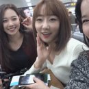셀다 이미지
