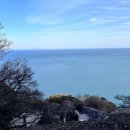 돌산도서관 | 여수 돌산향일암