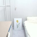 스테이강남