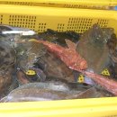 민락어민활어직판장 이미지