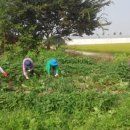 오이도 경로당 이미지