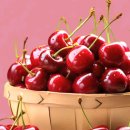 너에게 눈을뗄수가 없어 ~ 이미지