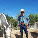 카우보이 이미지