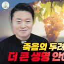 2026년 5월 3일 가해 부활 제5주일 (요한 14,1-12) ＜죽음의 두려움 없애는 법: 더 큰 생명 안에 머물러라＞ 이미지