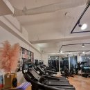 감성피티 이미지