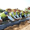 당동2리 이미지