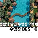 산들애파크188다산트라 | 생활의 달인 수영장 덕후편 총정리! 물놀이에 진심인 우리 가족의 선택은?