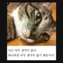 비비큐송우점 | [일상] 10월 마지막주 일상 두둔!