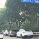 (주)조하 | 26.6 도태남 조하참,