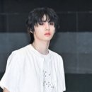 댄디하개 이미지