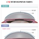 오마이글라스 비전케어 이미지