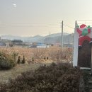 운공의 밤 네이버블로그