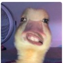 다이아월드 결혼정보회사 | 1년 안에 결혼준비 (3) 웨딩링 웨딩밴드 투어 - 잠실...주말 워크인 후기 (그라프, 아크레도, 불가리...